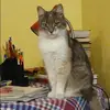 Отзыв от Анжела Львова